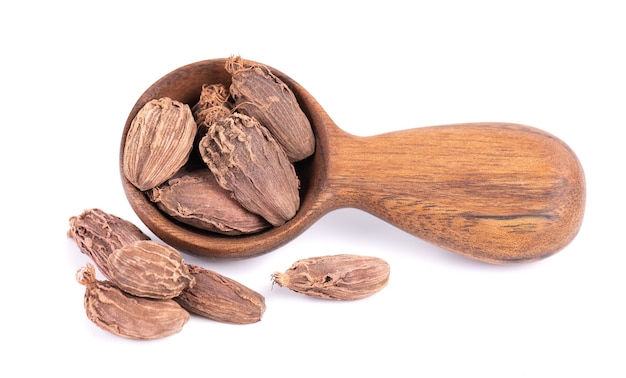 Tas de gousses de cardamome noire dans une cuillère en bois isolé sur fond blanc graines de cardamone noire