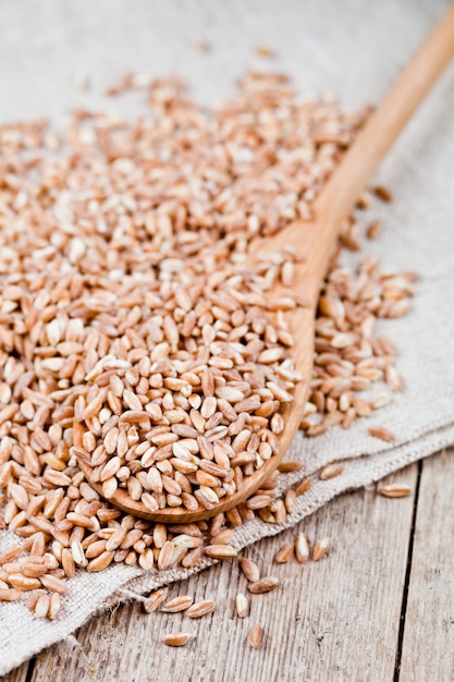 Tas de grain de blé biologique brut et sec dans une cuillère en bois sur une nappe en lin