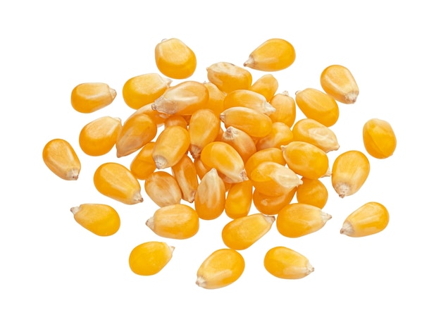 Un tas de grains de maïs crus isolés sur un fond blanc, des grains de maïs sucré jaunes secs en vue du haut