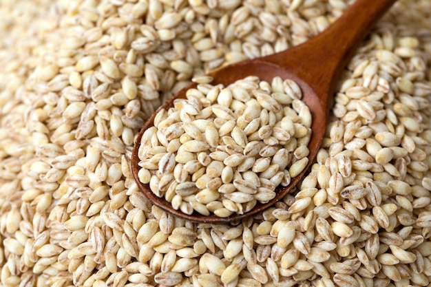 Photo tas de grains d'orge avec cuillère en bois