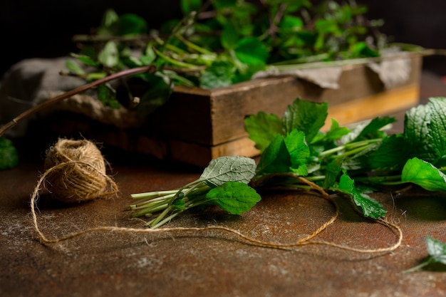 Tas de menthe sur la couleur rouillée.