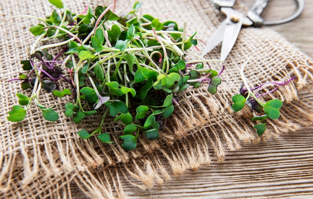 Tas de micro-verts radis sur la vieille surface en bois