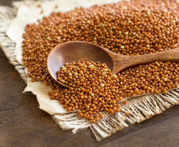 Tas de millet brun entier avec une cuillère