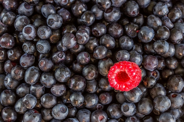 Tas De Myrtilles Fraîches Sucrées Avec Une Framboise. Peut être Utilisé Comme Arrière-plan