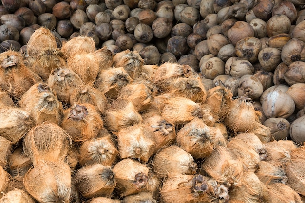 Un tas de noix de coco