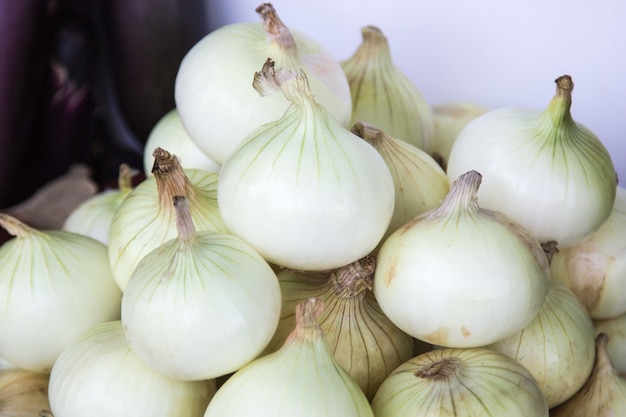 tas d&#39;oignon blanc sur la table, gros plan