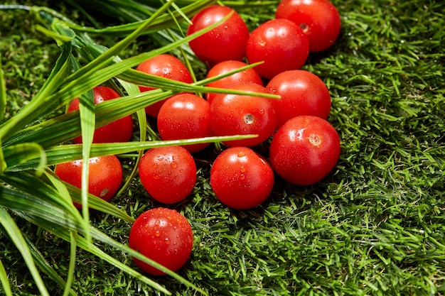 Un tas de petites tomates dans l'herbe verte