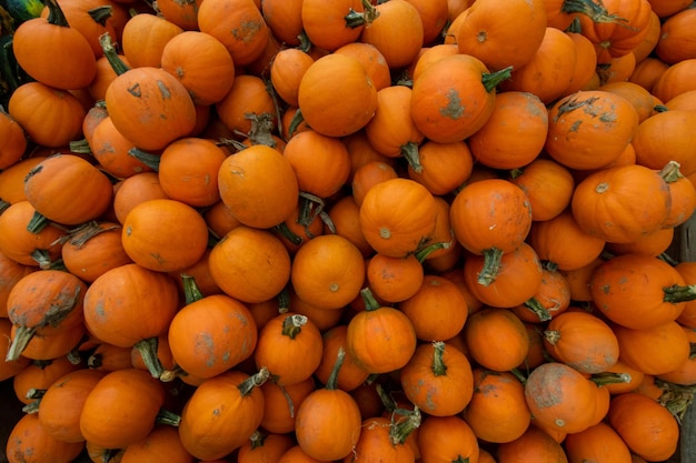 Un tas de petits pumpkins orange dans une boîte en bois sur un marché d'agriculteurs remplissant le cadre