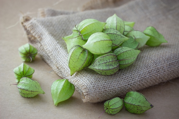 Tas de Physalis