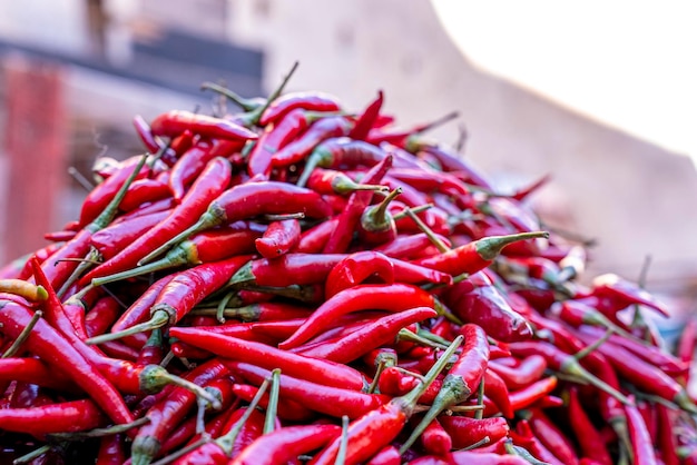 Tas de piment rouge ou de poivrons à vendre sur le marché de fez