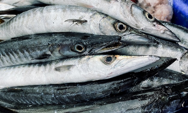 Photo un tas de poissons est empilé les uns sur les autres.