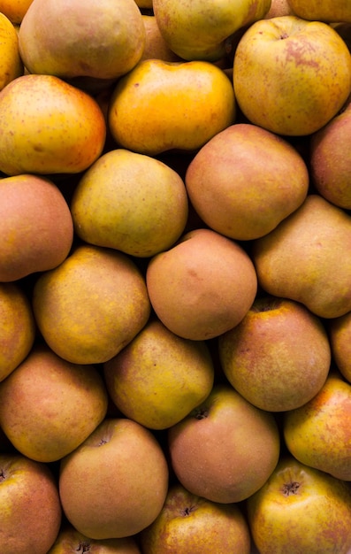 Un tas de pommes rousses dans l'épicerie