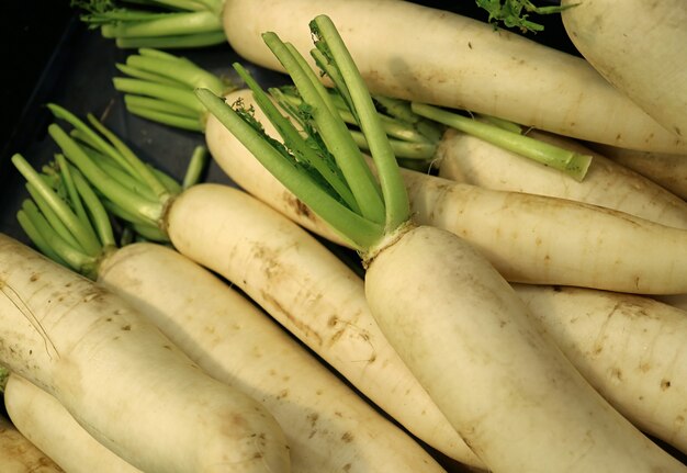 Tas de radis blanc ou de radis Daikon