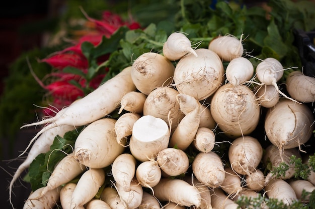 Tas de radis blancs dans un marché