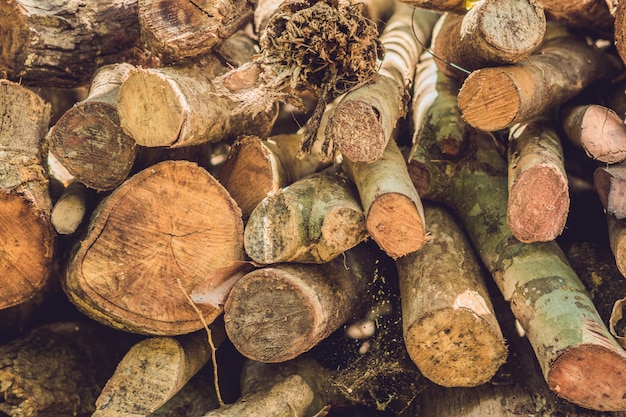 Photo tas de rondins de bois à l'extérieur