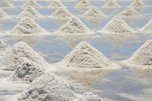 Un tas de sel à un lac plat