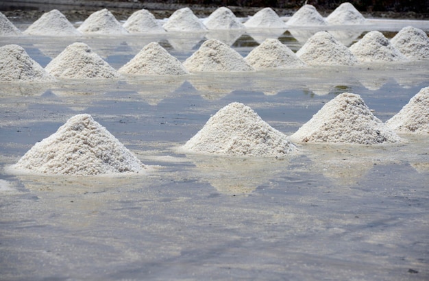 Des tas de sel avec des reflets sur l'eau
