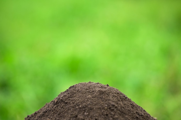 Photo tas de sol fertile avec de l'herbe verte à l'arrière-plan flou