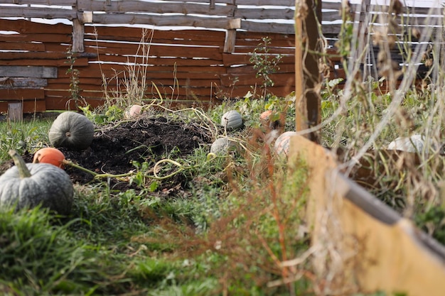 Photo un tas de terre et d'herbe avec une clôture en bois en arrière-plan