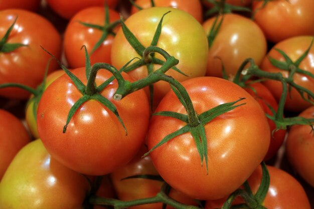 Tas de tomates fraîches au marché