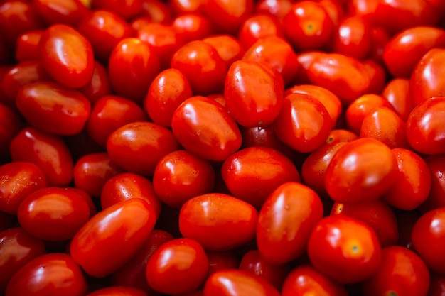 Tas de tomates rouges fraîches