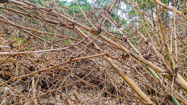 Un tas de vieilles branches sèches et de bâtons de bambou en indonésien