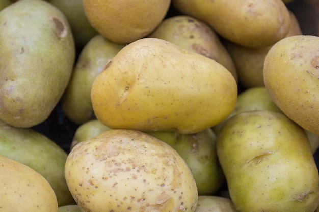 Tas de vieilles pommes de terre