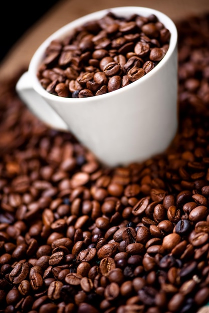 Tasse blanche fraîche de grains de café brésiliens chauds