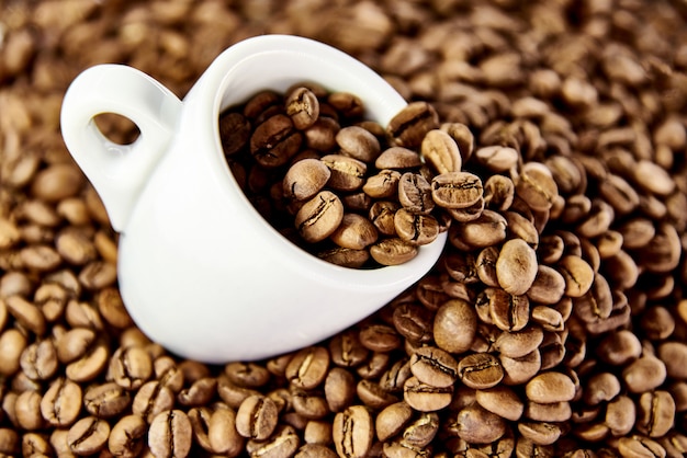 Tasse blanche en grains de café.