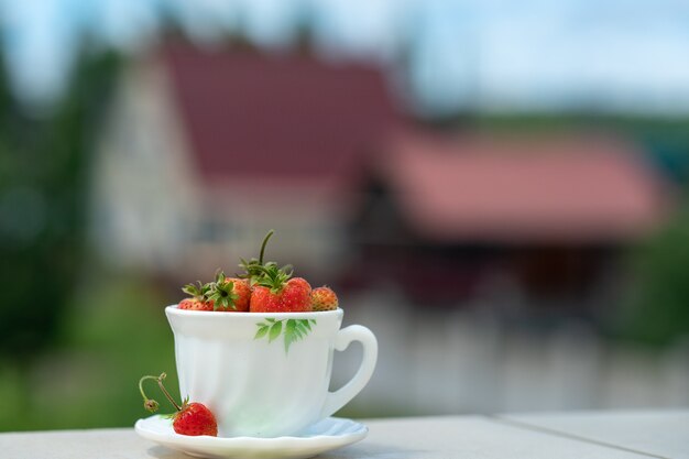 Tasse blanche pleine de fraises fraîches d'une maison rustique et d'arbres