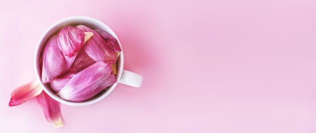 Tasse blanche pleine de pétales de fleurs fraîches d'une tulipe sur fond rose