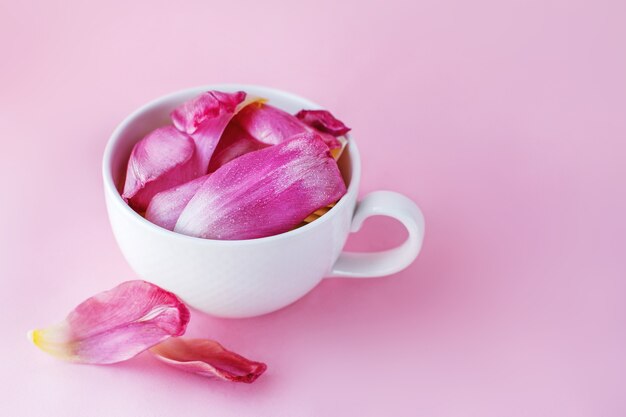 Tasse blanche pleine de pétales de fleurs fraîches