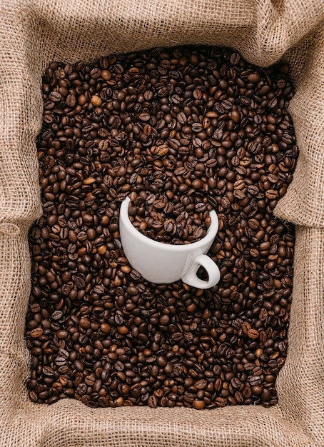 La tasse de café blanche se trouve dans les grains de café torréfiés