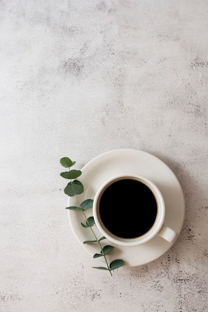 Tasse de café, branche d'eucalyptus. Vue de dessus