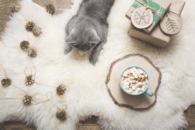 Tasse de café, chat britannique, cadeaux faits à la main. Reste à la maison. Vue de dessus. Espace de copie. Image mate.