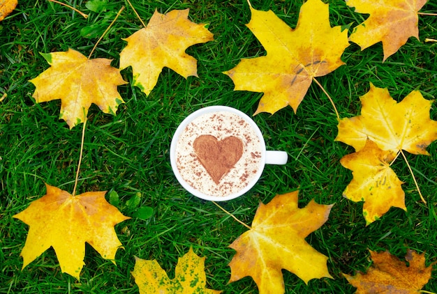 Tasse de café avec un cœur de cannelle sur l'herbe verte, feuilles d'érable autour