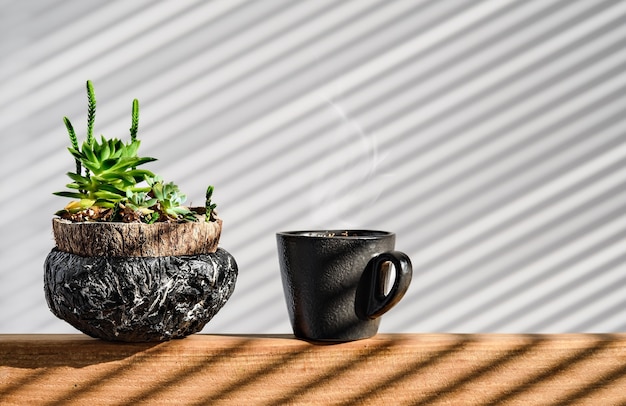 Tasse avec café fort pause déjeuner mise au point sélective Succulentes dans un pot fait main sur fond clair