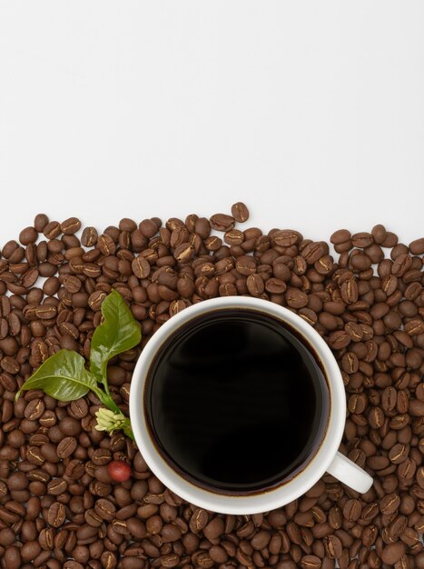 Tasse à café et grains de café torréfiés