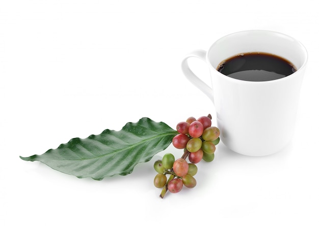 Photo tasse à café et grains sur fond blanc