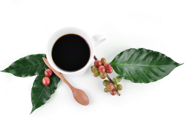 Tasse à café et grains sur fond blanc