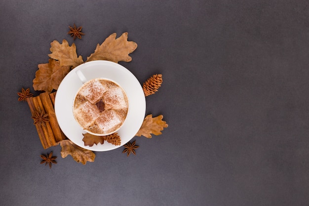 Tasse de café avec guimauves et cacao, feuilles, oranges séchées, cannelle et anis étoilé, fond de pierre grise. Savoureuse boisson chaude de l'automne. fond