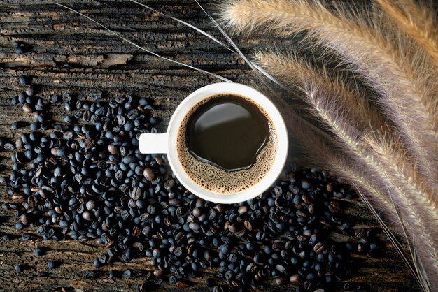 Tasse à café et haricots