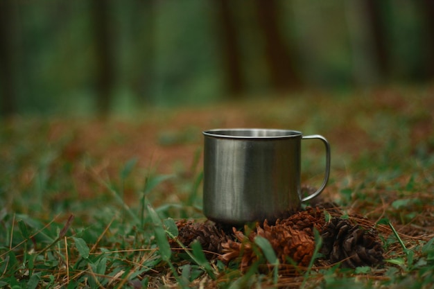 Une tasse de café sur une plante dans le champ.