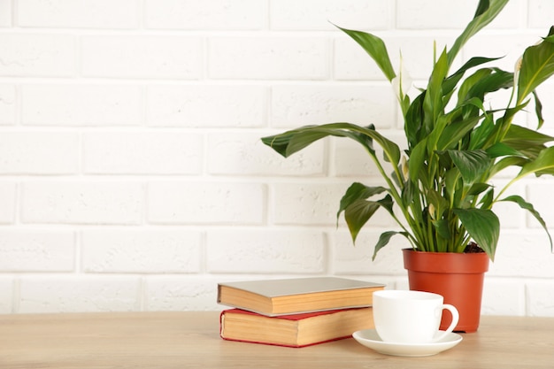 Tasse de café avec une plante d'intérieur près d'un livre