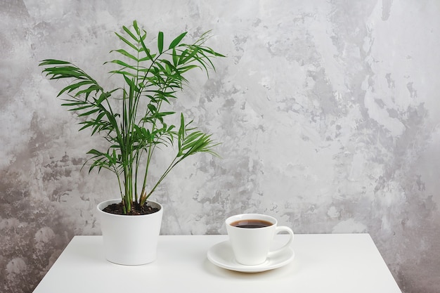 Tasse de café et plante maison en pot blanc sur la table contre le mur de pierre grise. Copier l'espace Style minimal. Temps de café concept. Vue de face.