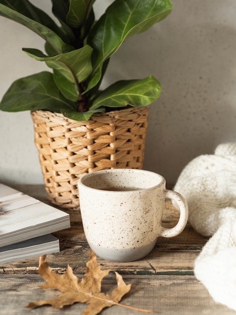 Tasse de café et plante en pot sur table en bois