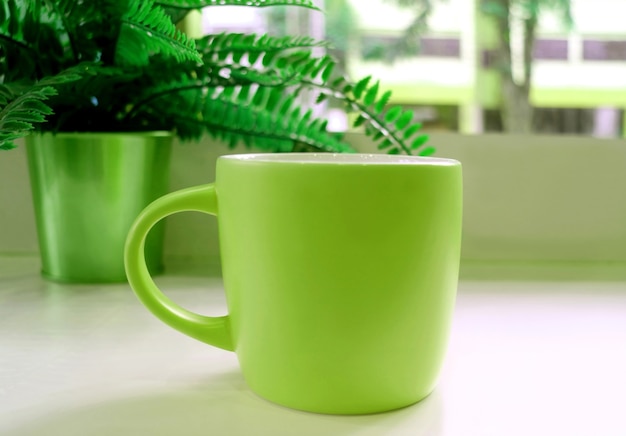 Tasse à café verte sur la table avec une fougère en pot