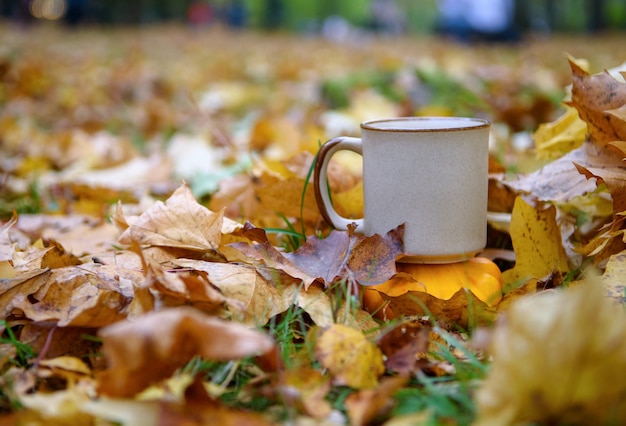 Tasse en céramique sur les feuilles d'automne