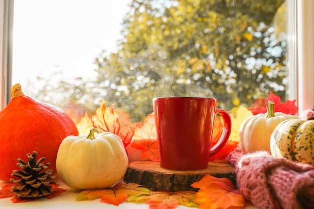 Photo une tasse de citrouilles de thé d'automne et des feuilles sèches jaunes près d'une fenêtre