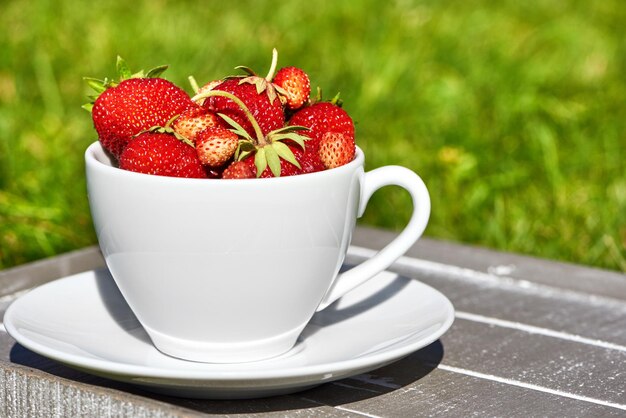 Tasse de fraises sur l'herbe